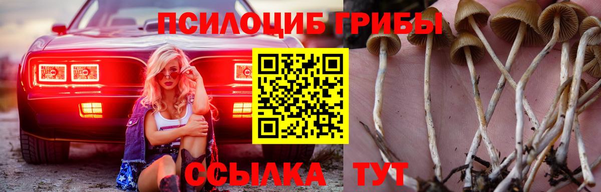 Псилоцибиновые грибы GOLDEN TEACHER  Вход с VPN  Новоуральск 